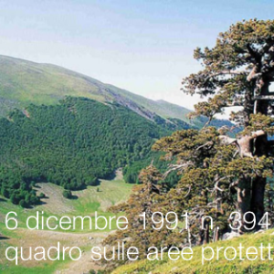 6 dicembre 1991- 6 dicembre 2021, la legge quadro sulle aree protette compie 30 anni