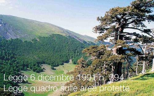6 dicembre 1991- 6 dicembre 2021, la legge quadro sulle aree protette compie 30 anni