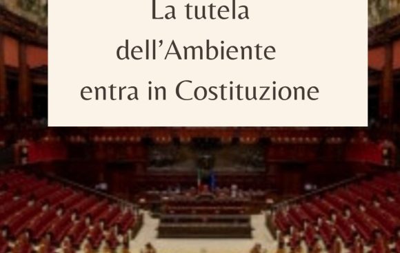 Costituzione, vittoria storica. Ma è un punto di partenza